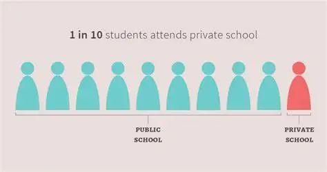 美国公立学校,美国私立学校