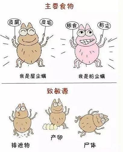 螨虫