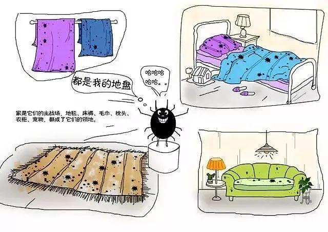 螨虫