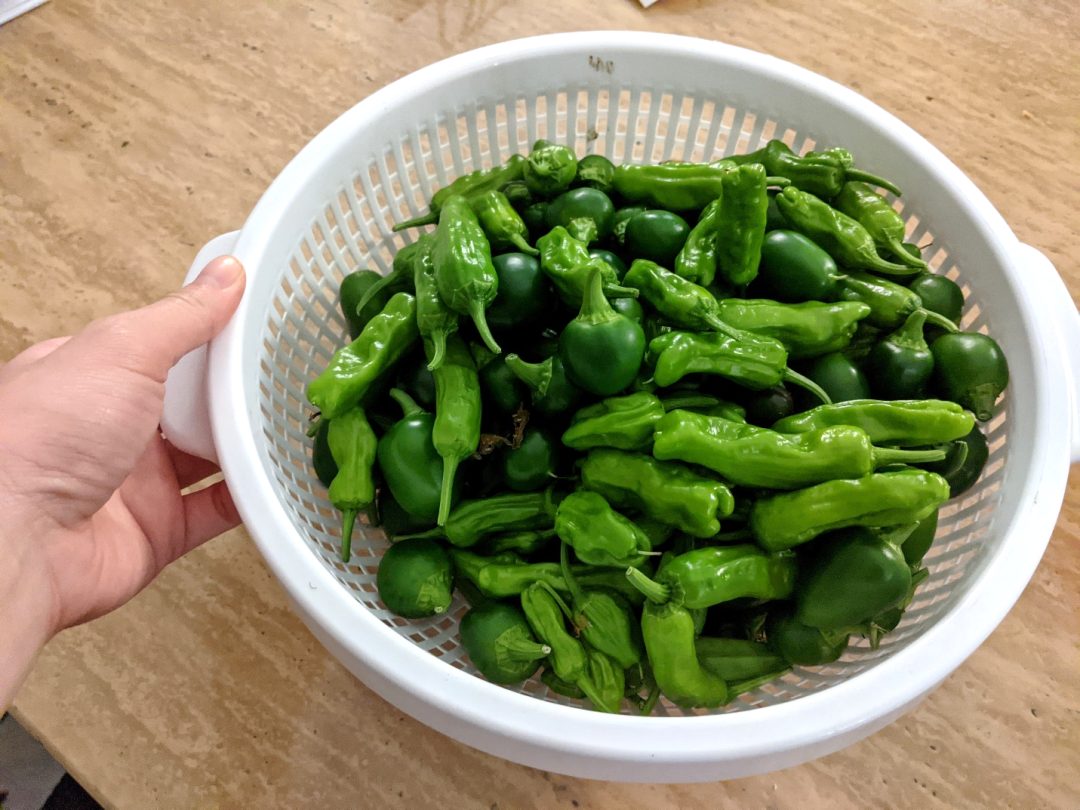 菜园