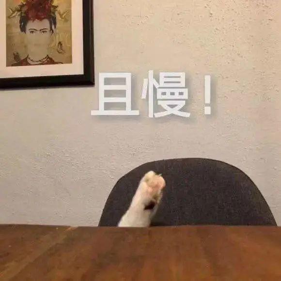 年中大促