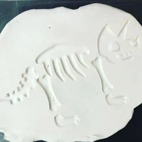 KiwiCo盒子