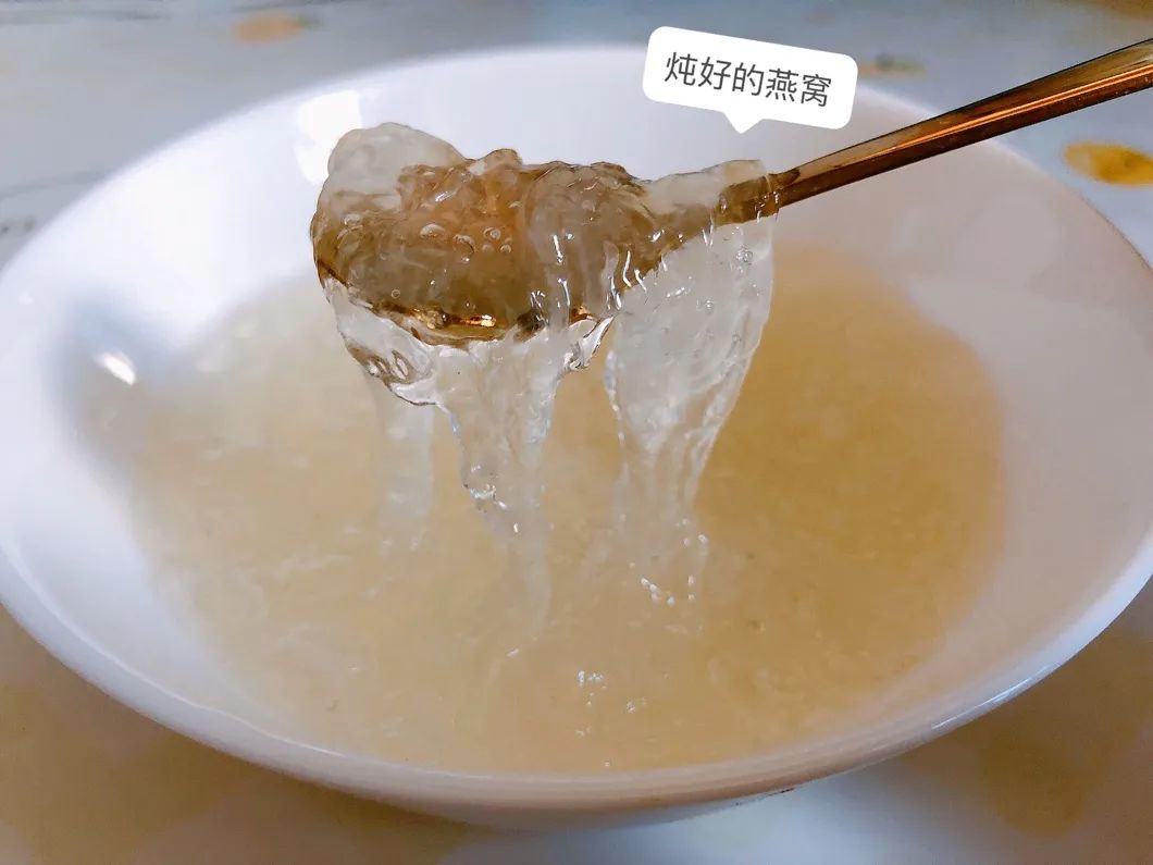 旭龙行燕窝