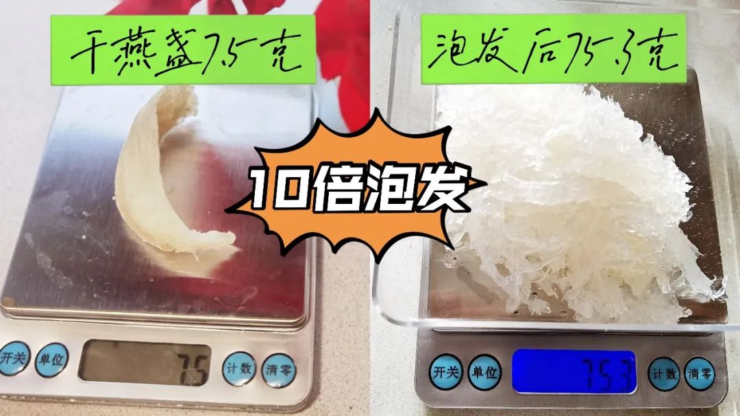 旭龙行燕窝