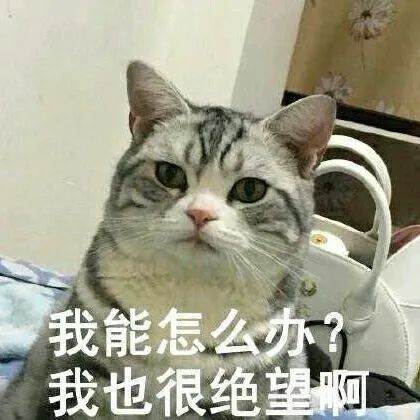 东京奥运会