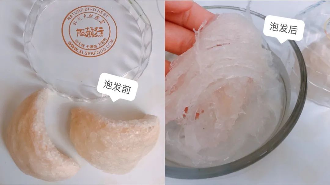 旭龙行燕窝