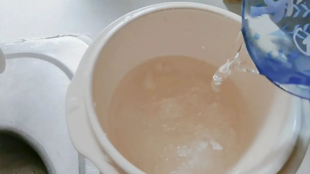 旭龙行燕窝