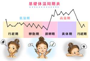 如何利用基础体温备孕