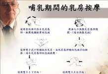 关于催奶和通奶以及堵奶了怎么办 堵奶怎么办