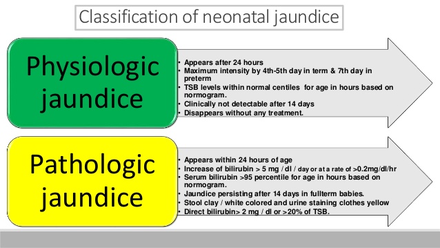 新生儿黄疸Newborn Jaundice