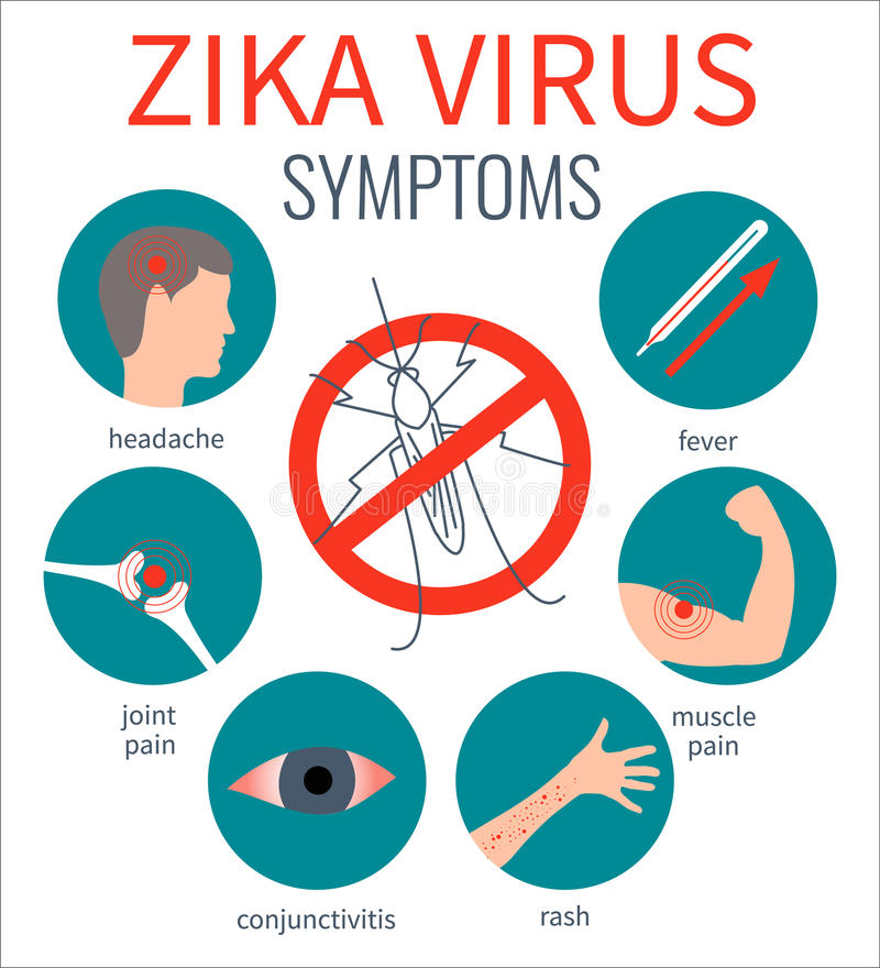 寨卡病毒Zika Virus