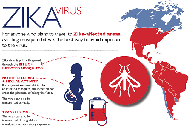 寨卡病毒Zika Virus