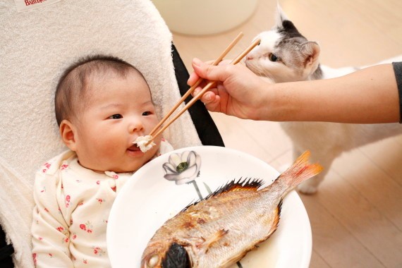 宝宝多大可以吃鱼