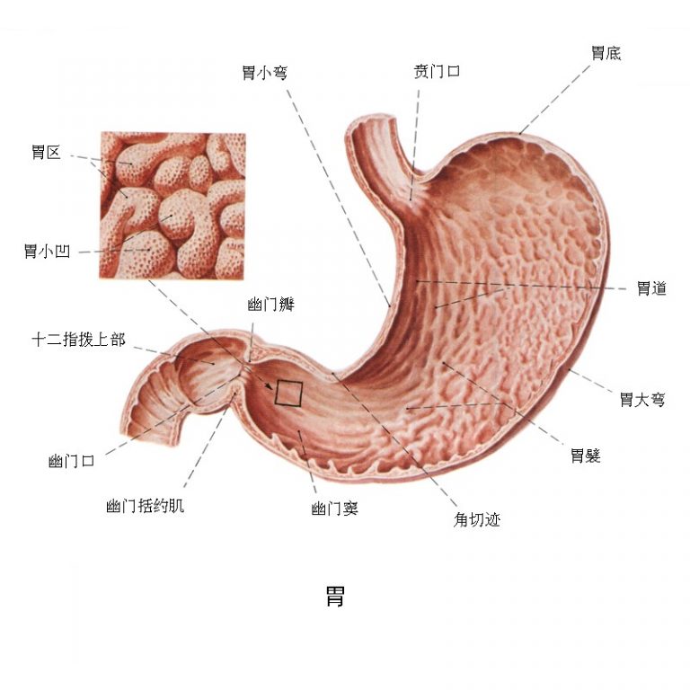 宝宝胀气症状