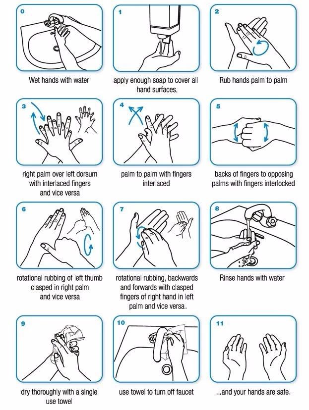 美国宝宝洗手方法