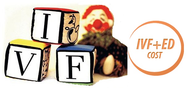 美国做试管婴儿(IVF)