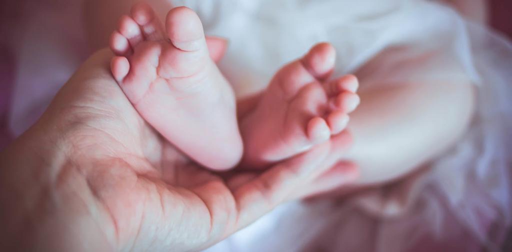 美国做试管婴儿(IVF)
