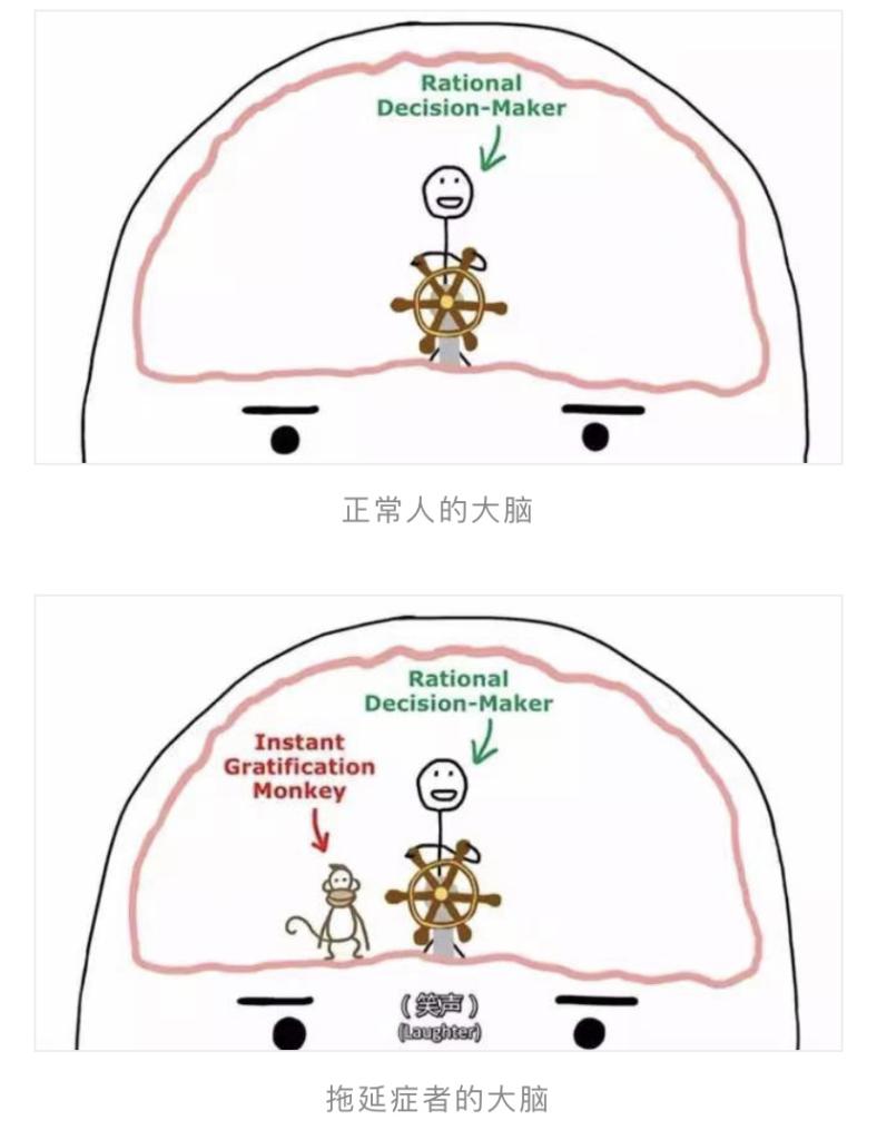 美国宝宝拖延症