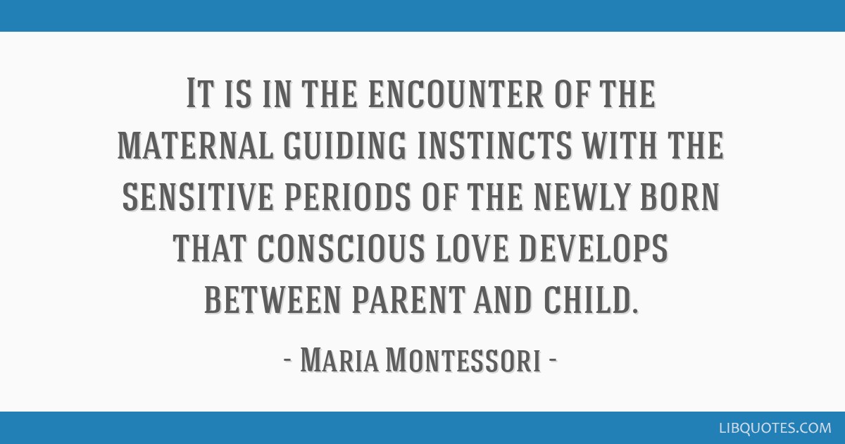 montessori_tampa_sensorial1