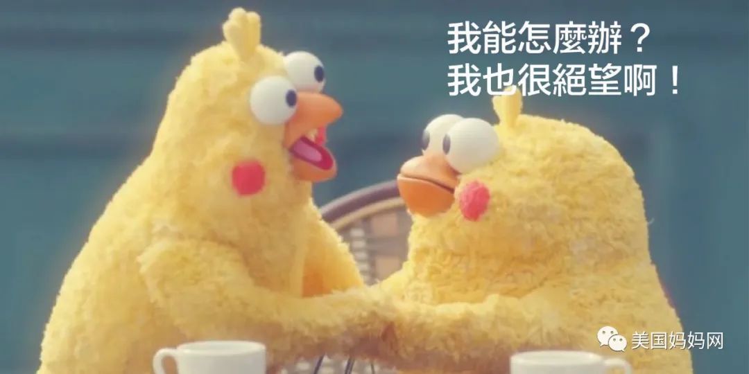 美国妈妈龙凤胎 美国妈妈龙凤胎