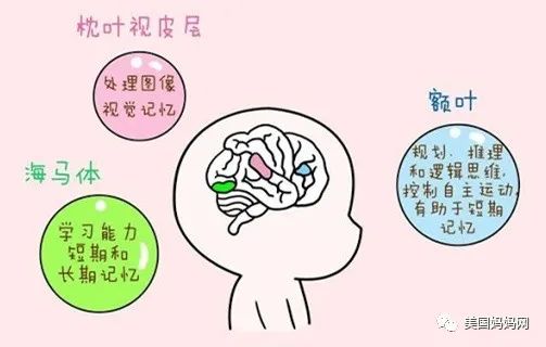 美国妈妈龙凤胎 美国妈妈龙凤胎