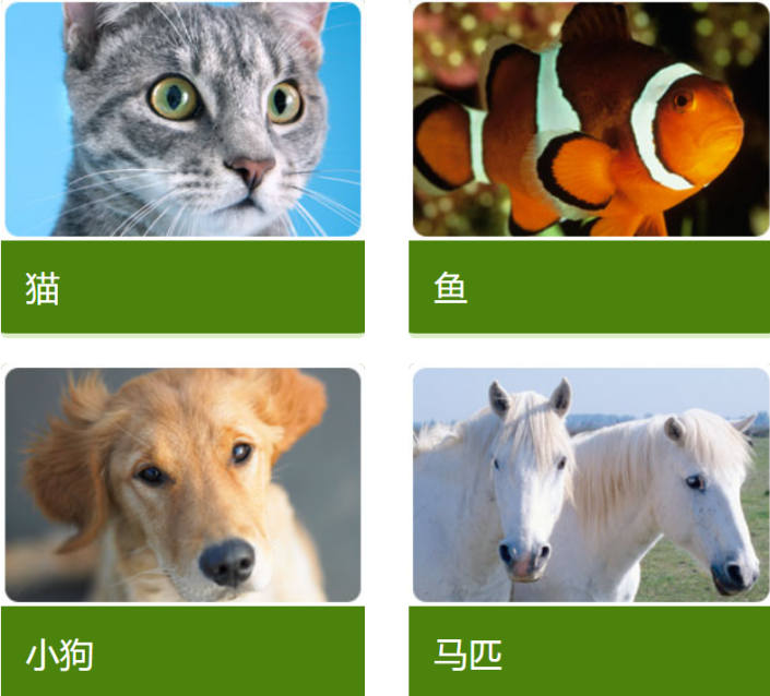 美国孕妇宝宝宠物安全 美国孕妇宝宝宠物安全