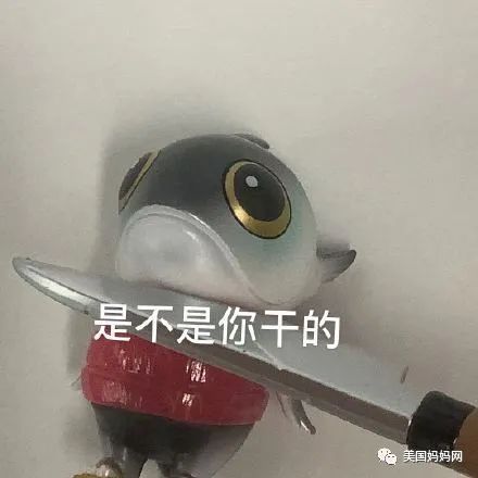 三文鱼能吃吗