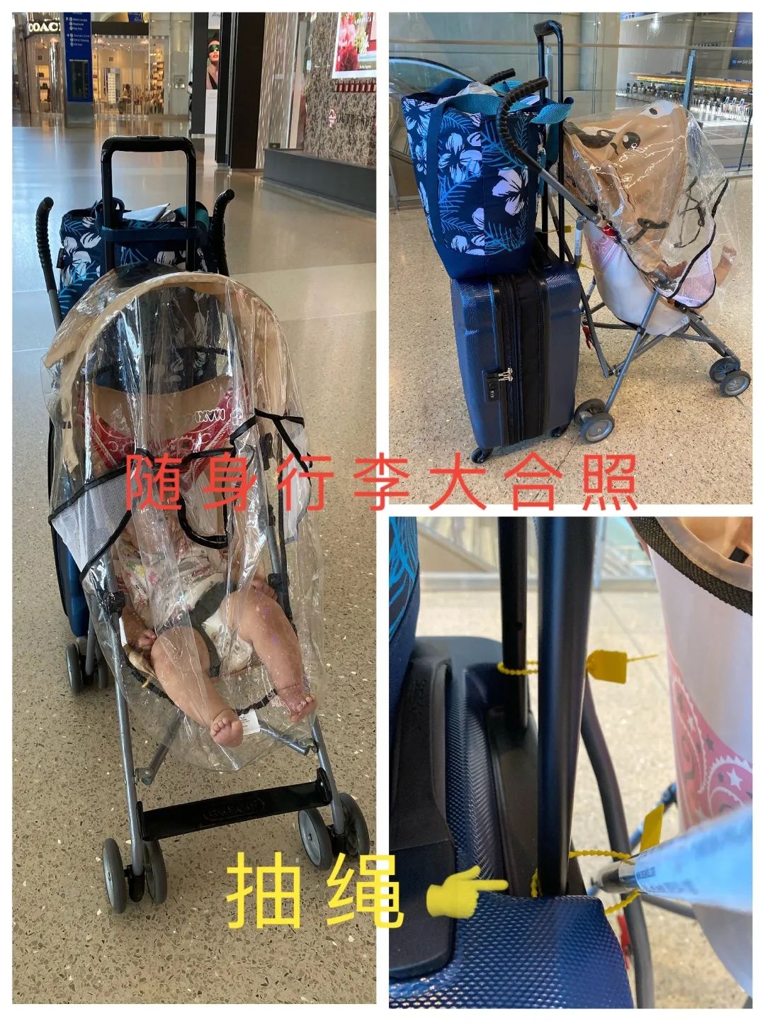 疫情带娃回国 疫情带娃回国