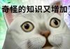堵奶知识大问答 —— 母乳妈妈必看必收藏