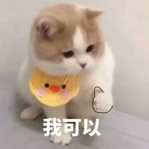 美国新生儿哭声 美国新生儿哭声