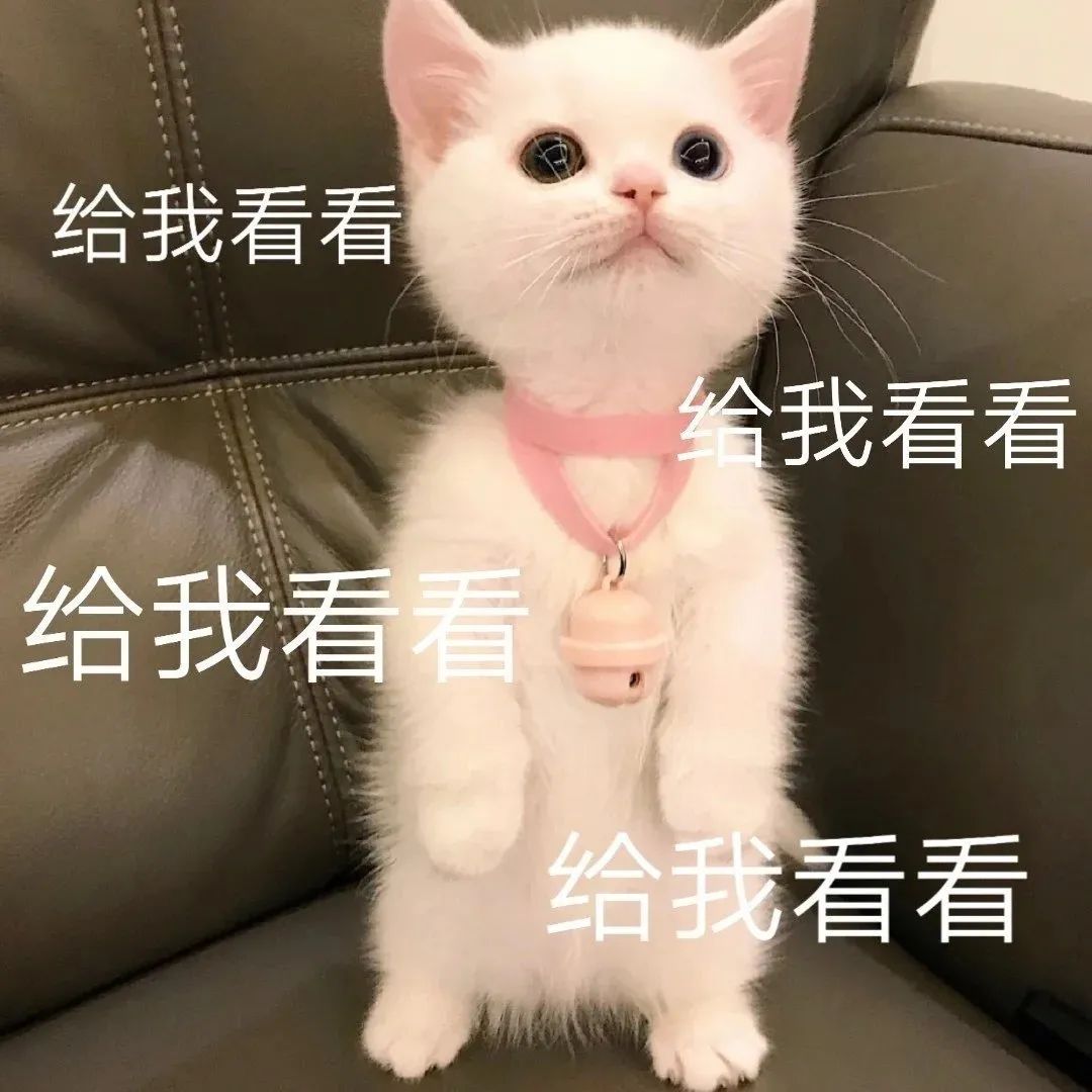 宝宝动画片分年龄段推荐 宝宝动画片分年龄段推荐