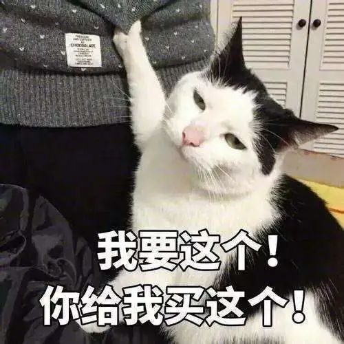 美国宝宝金钱观 美国宝宝金钱观