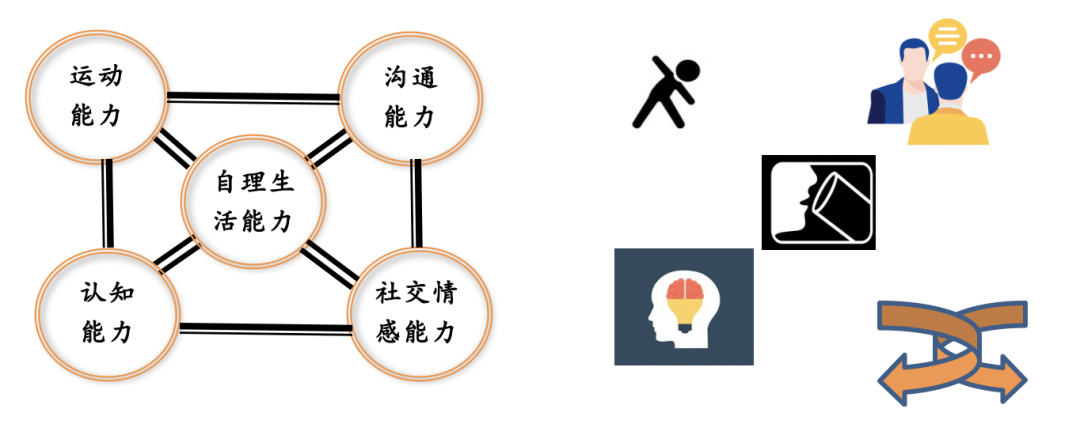 美国宝宝发育早期干预