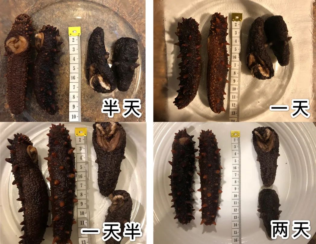 美国旭龙行测评 美国旭龙行测评
