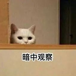 美国宝宝逆反心理读书 美国宝宝逆反心理读书