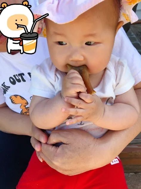 美国宝宝无糖辅食 美国宝宝无糖辅食