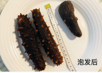 美国旭龙行测评 美国旭龙行测评