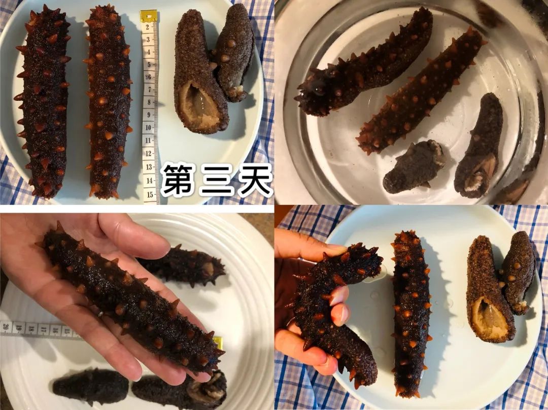 美国旭龙行测评 美国旭龙行测评