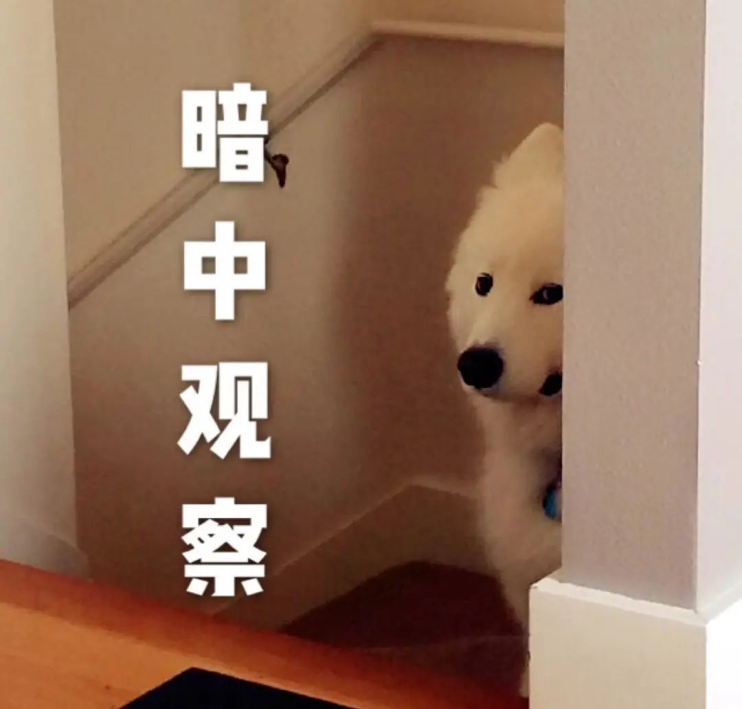在美国找月嫂,这些“过来人”的经验能让你避免踩坑! 在美国找月嫂,这些“过来人”的经验能让你避免踩坑!