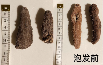 美国旭龙行测评 美国旭龙行测评
