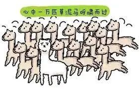 美国妈妈带娃心得 美国妈妈带娃心得