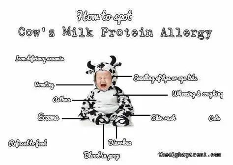 美国宝宝牛奶蛋白过敏