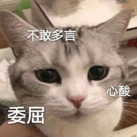 亲戚朋友们,节日里我也回不了国,但有这个推荐给你们 亲戚朋友们,节日里我也回不了国,但有这个推荐给你们