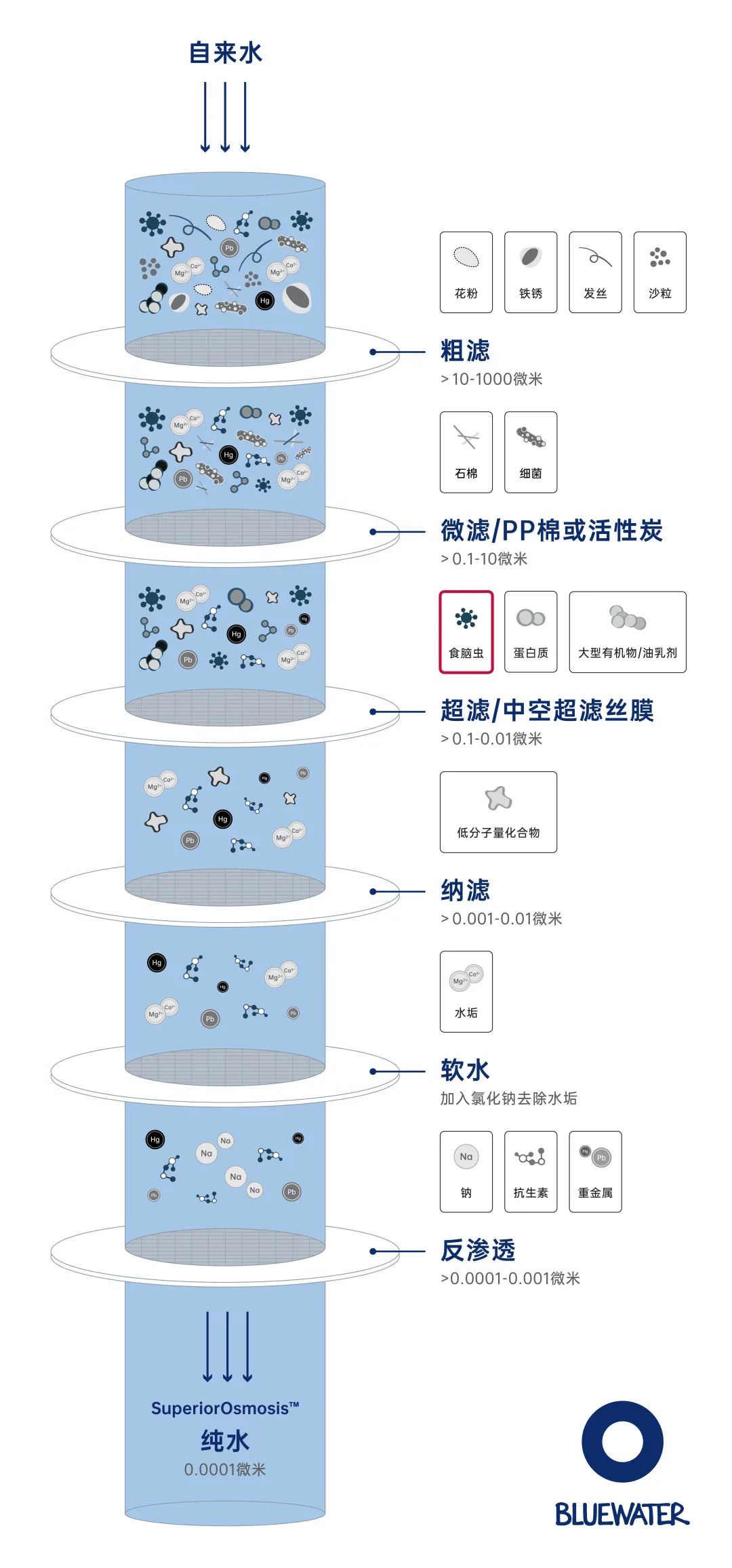 美国Bluewater净水器