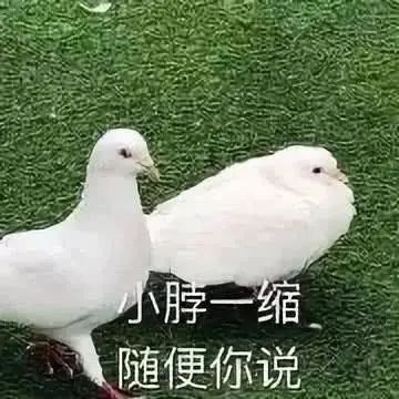 亲戚朋友们,节日里我也回不了国,但有这个推荐给你们 亲戚朋友们,节日里我也回不了国,但有这个推荐给你们