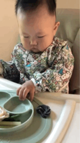 美国宝宝手指食物 美国宝宝手指食物