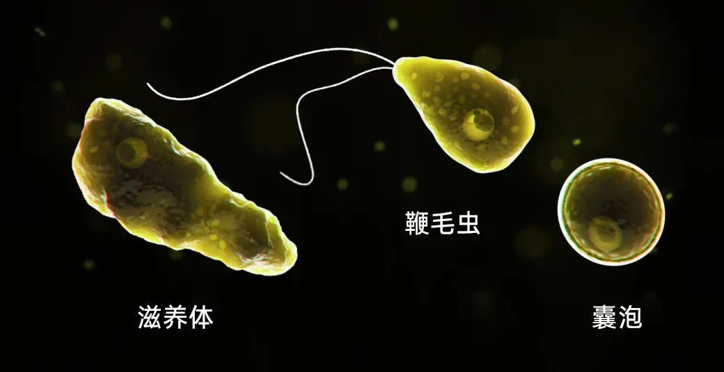 美国Bluewater净水器 美国Bluewater净水器