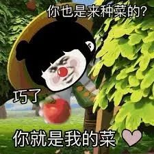 湾区人买房最看重哪些方面?看看我们采访了1000多人的结果