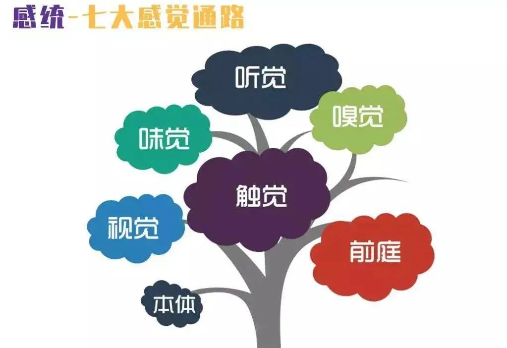 【妈妈分享】走路磕碰、讨厌刷牙、不喜欢沙土,孩子可能感统失调了,抓住关键期还有得救,过了这个年龄难以矫正…… 【妈妈分享】走路磕碰、讨厌刷牙、不喜欢沙土,孩子可能感统失调了,抓住关键期还有得救,过了这个年龄难以矫正……