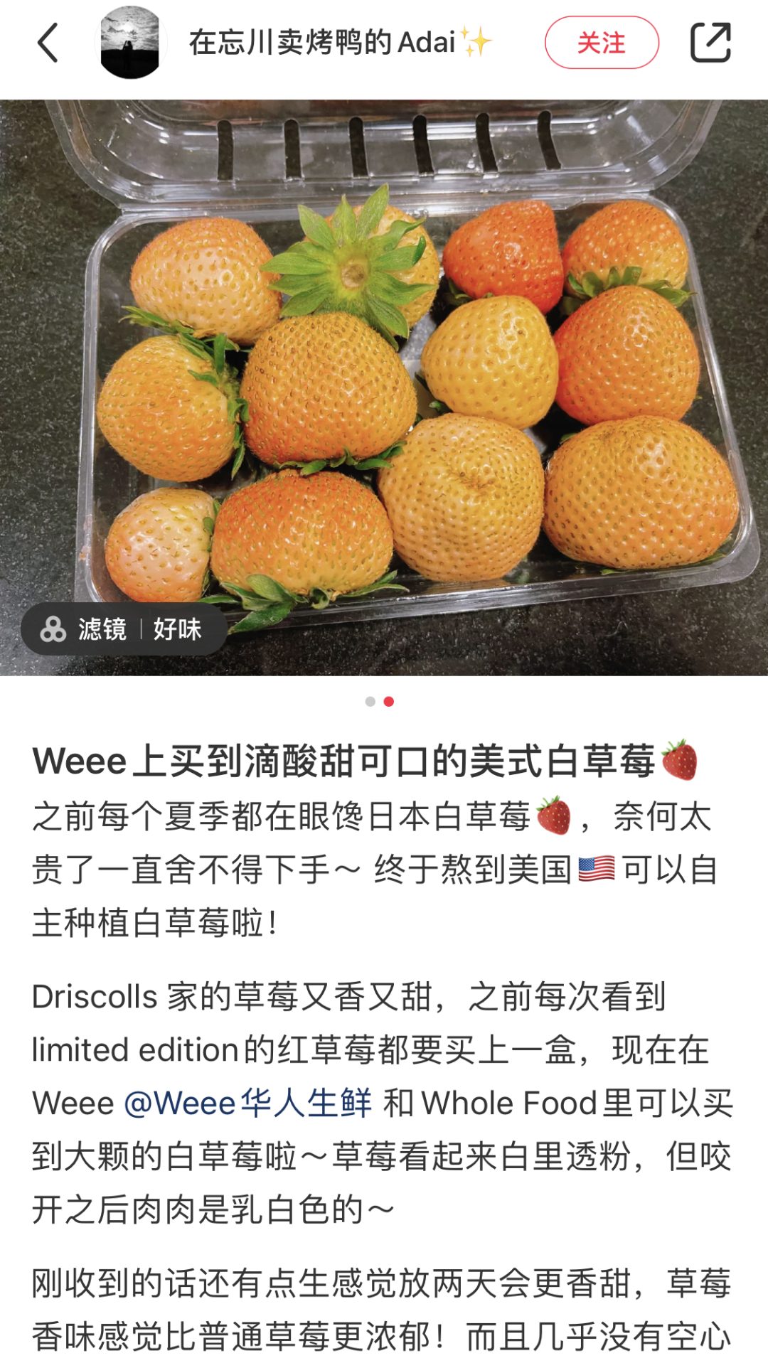 人手必备！小红书推荐的爆款宝藏美食！注册就减$20，全美包邮